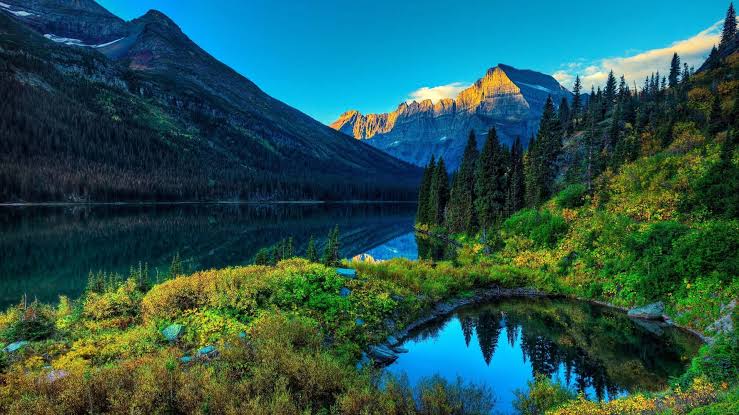 Nature 2