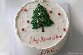 Find & download free graphic resources for christmas birthday. Write Name On Christmas Cakes For Everyone