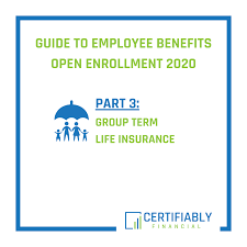 The coverage provides a general death benefit that isn't included in income Guide To Employee Benefits Open Enrollment 2020 Group Term Life Insurance Certifiably Financial