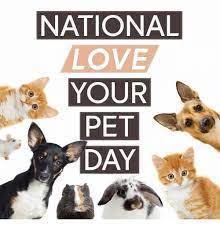 The day also brings awareness to the need for care of and homes for orphaned pups as well as to educate people about the horrors of puppy mills across the country. National Love Your Pet Day 2020 Meme Best Event In The World