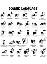 A Dogs Body Language Mississippi Rottweilers