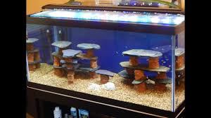How to make aquarium decorations. Big Fish Tank Decorations Online