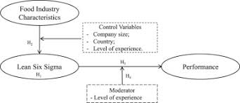 Combines the speed and quality of both lean and six sigma to achieve business process full optimization. The Effect Of Lean Six Sigma Practices On Food Industry Performance Implications Of The Sector S Experience And Typical Characteristics Sciencedirect