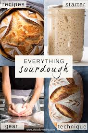 Sourdough Bread Starter Recipes Technique Gear In 2020 Recipes Bread Recipes Homemade Sourdough Bread