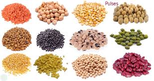 Kacang dal 9:57 pg 0. Pulses Dhal Name Meaning Image Necessary Vocabulary Necessary Vocabulary
