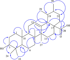 Image result for Olinia rochetiana