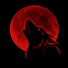 If you see some wolf hd desktop wallpapers you'd like to use, just click on the image to download to your desktop or mobile devices. Red Wolf Wallpapers Top Free Red Wolf Backgrounds Wallpaperaccess