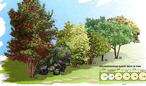 Une Haie Tout A La Fois Jolie Efficace Et Pourvoyeuse De Petits Fruits Du Printemps Jusqu En Automn Arbres A Croissance Rapide Arbre Pour Haie Arbre Fruitier