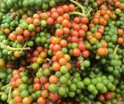 Download lagu mp3 terbaru 2021, gudang lagu terbaik gratis. Anim Agro Technology October 2016