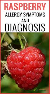 This is called photocontact dermatitis. Raspberry Allergy Symptoms And Diagnosis Allergy Symptoms