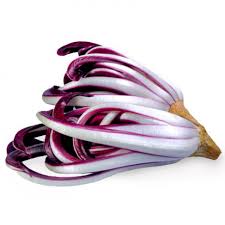 Il radicchio trevisano tardivo il più pregiato , fa parte di un grande famiglia di ortaggi , là quale si caratterizzano per un sapore spiccato e cremoso, causato da una. Radicchio Tardivo Di Treviso