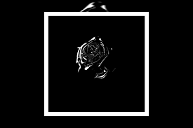 Free online photos are available in abundance and some of the most familiar photos for pc wallpaper include the images of film or media celebrities. Pop Smoke Album Wallpapers Wallpaper Cave