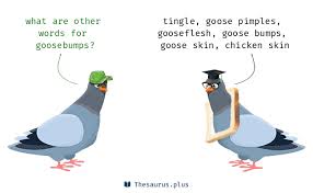 Terms Goosebumps And Goose Bumps Are Semantically Related Or Have Similar Meaning Earlier in the same sense was goose flesh (c.1810) and goose skin (1785) … terms goosebumps and goose bumps are