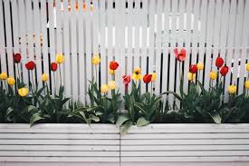 Selain itu, pagar rumah minimalis yang didesain secara bagus dapat menjadikan rumah anda lebih terlihat mewah dan elegan. 10 Desain Pagar Kayu Cantik Cocok Untuk Rumah Kekinian