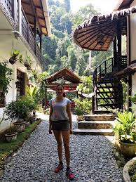 Photos, address, and phone number, opening hours, photos, and user reviews on yandex.maps. Bukit Lawang Orangutan Experience In Sumatra Indonesia Apenoni