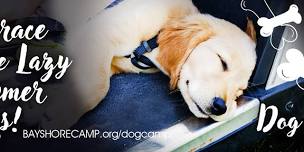 Dog Camp