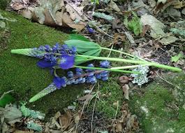 Honoring the memory of name. 6 Ways To Invite Love To A Death Anniversary Elaine Mansfield