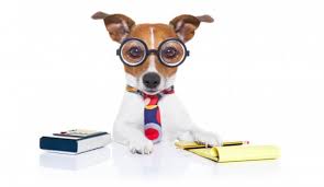 What we're looking forward to. Dog Food Calculator Dog Food Advisor