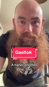 Irish for beginners..! So easy it’s nuts🥜 #gaelgóir #gaeilge #irish  #irishlanguage #learnirish #ireland #jokes #nutella #fyp #gaeltok