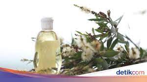 We did not find results for: Berkualitas Minyak Kayu Putih Petani Wonoharjo Diakui Merek Ternama