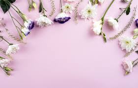 White and pink led light, retrowave, vaporwave, purple, dark background. Wallpaper Flowers White White Pink Background Chrysanthemum Flowers Beautiful Romantic Eustoma Eustoma Images For Desktop Section Cvety Download