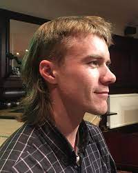 We did not find results for: Mullet Haircut Wikipedia