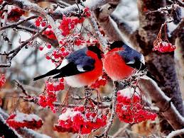 �������� �� ������� ������ �������