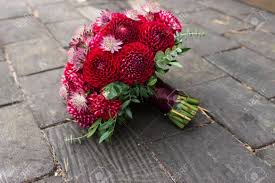 We did not find results for: Red Bridal Bouquet From Dahlias Wedding Floristic Stock Photo Picture And Royalty Free Image Image 92655444
