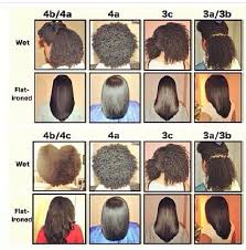 Pin By April Robinson On Hair Natural Hair Types Hair Type Chart Natural Hair Styles