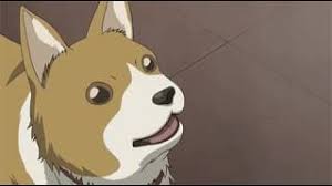 Dog Gets Slapped Youtube Looking for information on the anime yozakura quartet? dog gets slapped youtube