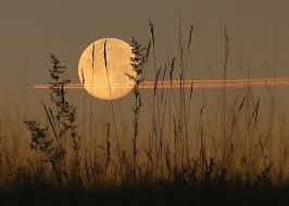 Maybe you would like to learn more about one of these? What Is The Harvest Moon Harvest Moon Facts And Folklore The Old Farmer S Almanac