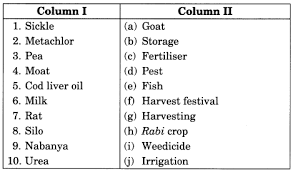 Define food security and food insecurity. Crop Production And Management Class 8 Extra Questions Science Chapter 1 Learn Cbse