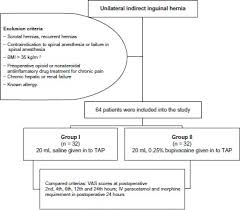 flow chart of study abbreviations bmi body mass index iv