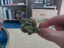There are no faqs for this product. G13 Haze Marijuana Strain Information Leafly