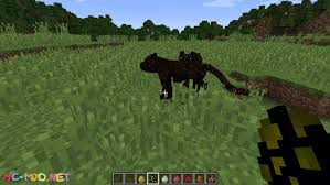The best physics mods for minecraft; Mo Creatures Mod 1 12 2 1 11 2 For Minecraft Mc Mod Net