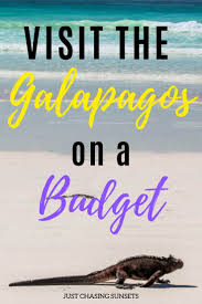 How To Visit The Galapagos On A Budget Galapagos Travel Galapagos Islands Travel Travel Phrases