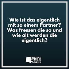 Wie Ist Das Eigentlich Mit So Einem Partner Was Fressen Die So Und