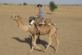 Gone are days of the merry band of travelers fighting off evil. Rajasthan Camel Safari Contemporarynomad Com