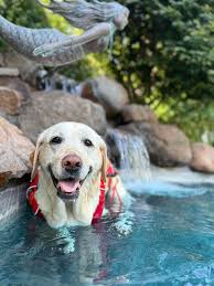 Today has been a roller coaster but the only thing I've been able to say is  THANK YOU GOD!! HE has been so so good. MartiJos first MIBG Scan shattered  my entire