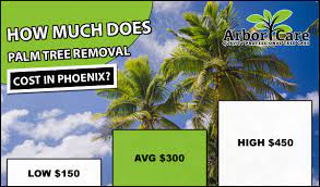 Check spelling or type a new query. Tree Removal Archives Arborcare