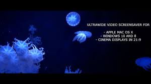 Ultrawide Video Jellyfish Aquarium 21 9 Resolution Mac And Windows Screensaver Screen Savers Video Aquarium Videos