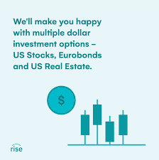 The investment assets on rise vest include; Rise On Twitter Give Your Money A Chance To Rise It S Your Next Smart Move Risevest Finance Investment Fintech