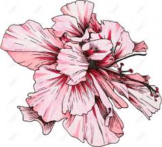 Batas percikan tinta, 3d merah muda, lukisan cat air, perbatasan png. Asal Ilustrasi Lukisan Cat Air Lukisan Bunga Tangan Gambar Unduh Gratis Imej 733474334 Format Psd My Lovepik Com