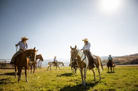 Check spelling or type a new query. Best Dude Ranches In Utah Visit Utah