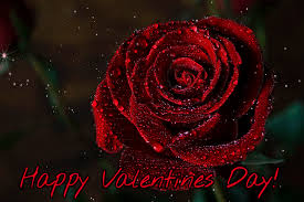 Happy valentine's day flowers gif. Happy Valentine S Day Gifs 60 Animated Valentines