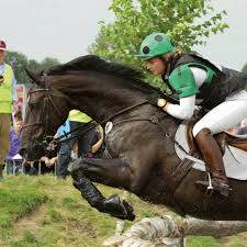 She represented her country at the 2016 summer olympics, where she won the silver medal in the team eventing. Passier Julia Krajewski