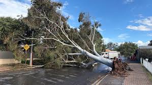 Adelaide weather forecast for Tuesday October 13th and the days ahead - Glam Adelaide