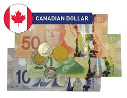 Kingston Check Cashing And Foreign Currency Exchange