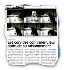 Si les cailloux est agréable aux oreilles parisiennes, c'est parce qu'il est le bistrot italien qui domine la butte aux cailles, quartier aux allures d'irréductible village… cliquez sur les pictos. Ø°ÙƒØ§Ø¡ Ø§Ù„ØºØ±Ø¨Ø§Ù† Ù…Ù‚ØªØ¨Ø³Ø§Øª