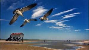 Nordsee Bei St Peter Ording Schleswig Holstein Urlaub In Deutschland Busum Nordsee Urlaub Am Meer